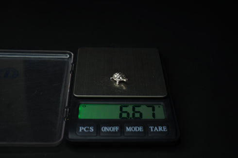 Pure Silver Tortoise Idol 6.76 grams